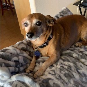 Meet your Posher, Kathleen